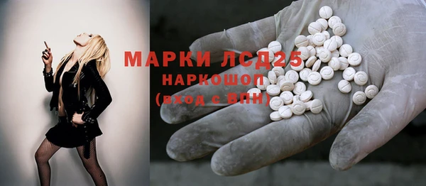 крисы Каменногорск
