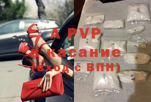 крисы Каменногорск