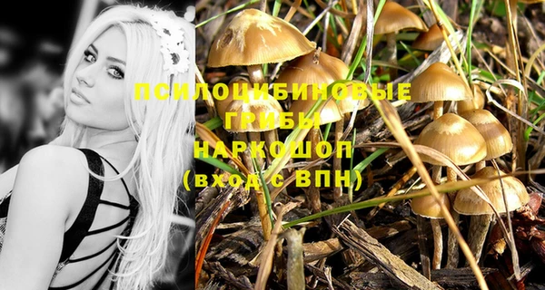 бошки Каменск-Шахтинский