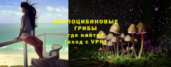 ALPHA-PVP Каменка