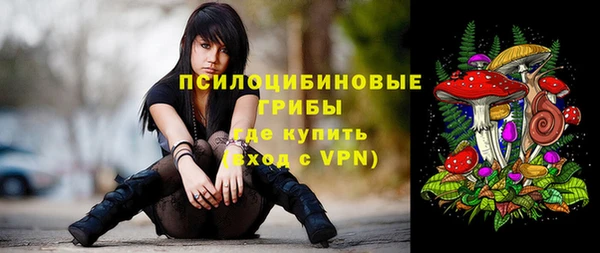 ALPHA-PVP Каменка