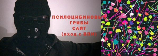 крисы Каменногорск