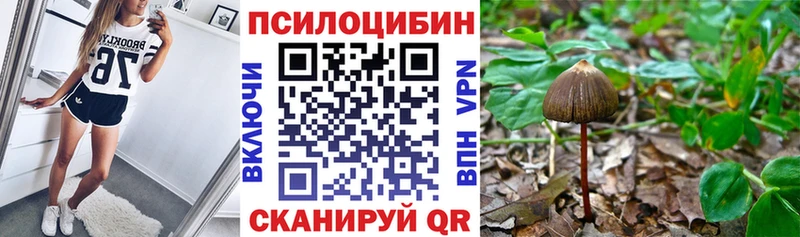 Купить где  Семилуки  Галлюциногенные грибы ЛСД 